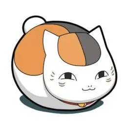 海贼王动画全集 罗宾